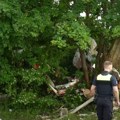 Mali avion se srušio na drveće, poginuo pilot Letelica uništena do neprepoznatljivosti (VIDEO)