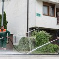 U Sarajevu nagli skok novozaraženih leptospirozom