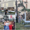 Kraljevski muzej pred novosađanima Najveći španski majstori velaskez, goja i rembrant na Trgu galerija (foto, video)