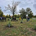 Šesnaest borića za 16 stradalih u padu nadstrešnice