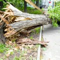 Nevreme napravilo haos u Pljevljima: Pala fasada, slomljena stabla, oštećena vozila VIDEO