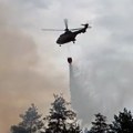 Ugašen požar u Deliblatskoj peščari
