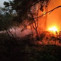 Najnoviji presek dramatične situacije: Šest požara i dalje gori u Srbiji, ovo su lokacije