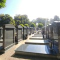 Devojka se u kupaćem sunčala na Groblju oslobodilaca Beograda: Muzej žrtava genocida se odmah oglasio FOTO