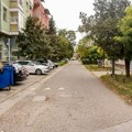 Izmena režima saobraćaja u delovima Novog Sada, Petrovaradina i Ledinaca