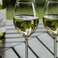 Četvrti Wine fest u subotu u hotelu „Šeraton” u ponudi vina više od 50 vinarija