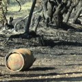 Kazne do milion dinara za izazivanje požara na otvorenom