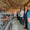 Porodično gazdinstvo u Mezgraji primer uspešnog seoskog života, Grad Niš podržava poljoprivredu