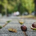 Letnjim danima došao kraj: Stižu prave jesenje temperature