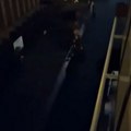 Drama kod Beton hale: Žena pala u Savu dok je izlazila sa broda: Vrištala je i dozivala u pomoći