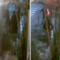 Turci nožem izboli mladića u Podgorici: Obračun snimila kamera, počela rasprava, napadač odmah potegao sečivo