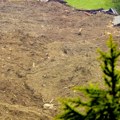 Užasna posledica klimatskih promena u Srbiji: Oglasile se "Srbijašume", evo šta je nepovratno stradalo