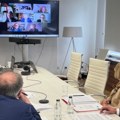 Vujić na onlajn sastanaku s ekspertima Venecijanske komisije – šta je dogovoreno