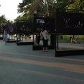 Otvorena izložba na Kalemegdanu posvećena svetskim zvezdama Niku Kejvu i Mobiju