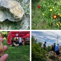 Sokobanja prestaje da ima status turističkog mesta prve kategorije: Evo šta se krije iza ove odluke