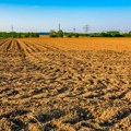 Grad Beograd daje u zakup preko 5.700 hektara poljoprivrednog zemljišta