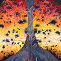 Arts Hub: Nadia Waheed
