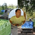 U vojvođanskim voćnjacima berba jabuka u punom jeku Ovo voće iz Srbobrana lako nalazi put do Engleske i Indije rod ove godine…