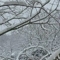 RHMZ: Na jugoistoku Srbije od četvrtka zahlađenje i sneg