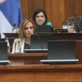 Đurđević Stamenkovski: Roditeljima-negovateljima novčana nadoknada i radni staž
