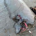 Američke snage uništile tri pomorska drona u Crvenom moru