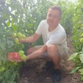 Proizvodnja lubenica i dinja u plasteniku porodice Vitkovac