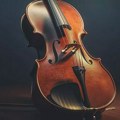 Da li će Zrenjaninska filharmonija nastupati na Danima piva u Zrenjaninu? Zrenjaninska filharmonija?