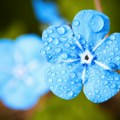 Promenljivo oblačno sa sunčanim intervalima i temperaturom do 33 stepena