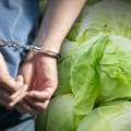 Bizarna krađa u Bečeju: Muškarac ukrao čak 400 kilograma kupusa, a onda je usledila prava drama