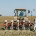 Poljoprivrednici: Suša u Srbiji smanjila rod, a otkupne cene žitarica kao pre desetak godina