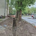 NPS: Infrastrukturni radovi u naselju Ruža Šulman odvijaju se bez koordinacije, ugroženo i gradsko zelenilo Saopštenje NPS…