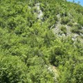 Nije samo zimska destinacija, već mesto koje živi cele godine: Planina u Srbiji obara sopstveni rekord posete