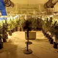 Ovako izgleda laboratorija za uzgoj marihuane kod Uba: Uhapšen diler koji je osumnjičen da je proizvodio drogu i prodavao