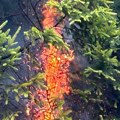 Dramatično u Trgovištu: Požar zahvatio i Lesničke planine, plamen guta drveće