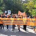 Apel institucijama i javnosti: Fruška gora plen umreženih interesnih grupa, zaustaviti seču
