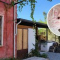 Nova državna pomoć: Raspisan konkurs od mesec dana, evo kako možete da je dobijete