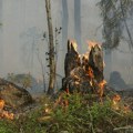 Kragujevčani mogu da prijave štetu od požara do 14. avgusta