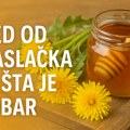 Med od maslačka – Za šta je dobar, recept i upotreba
