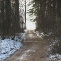 Sneg, vetar i poledica otežavaju vožnju kod Peštera, Golije, Zlatibora, Zlatara, Kopaonika