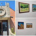 Више од пола века Галерије „Јован Поповић” у Опову чувају радове 260 аутора, а ево шта се све може видети