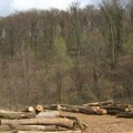 Održan protest zbog seče šume na Fruškoj gori