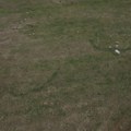 Misteriozni veliki krugovi na travi kod Kosjerića Nastaju svuda, meštani kažu da ih primete svakog proleća! Evo o čemu je…