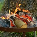 "Srbijašume" pred praznike apelovale na građane: Ne palite vatru blizu ili u šumi