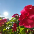 Sunčano i toplo, temperatura do 27 stepeni
