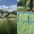 Trava progutala Šumarice, zarastao i park u Ilinoj vodi (FOTO/VIDEO)