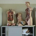 Ovo bi mogao da bude jedan od najvećih tragova o starenju: Naučnici pronašli ključ u imunom sistemu