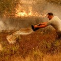 Portugalija: Požari zahvatili hiljade hektara, 1.400 ljudi evakuisano