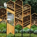 „Hotel za insekte“: U Botaničkoj bašti u Beogradu otvorena „Oaza za oprašivače“