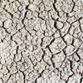 Nestašice vode u Johanesburgu, klimatske promene izazvale suše