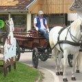 Gojković: Ergela Kelebija ima veliki potencijal u konjičkom turizmu